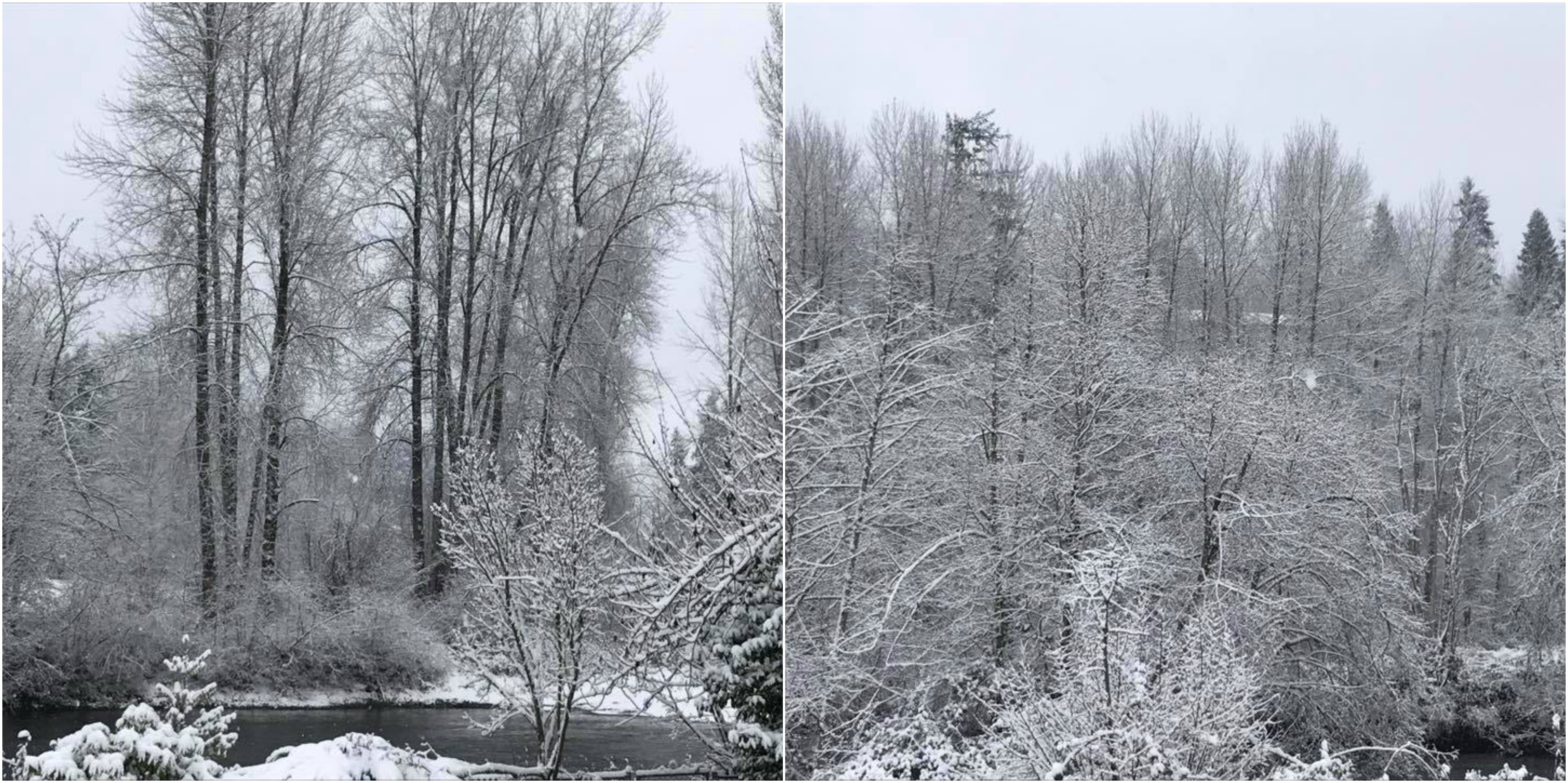 auburn green river, green river winter, winter wonderland, 