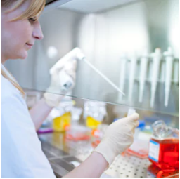 Sexual Assault, SANe, SAVE, Dr. Java Tunson, Auburn Multicare, Emergency Room, Auburn Hospital, City of Auburn, Auburn Emergency Room