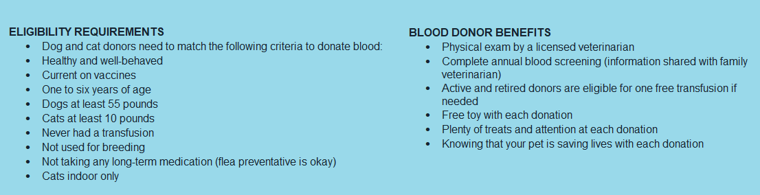 community pet blood bank, acces blood bank, pet blood donation