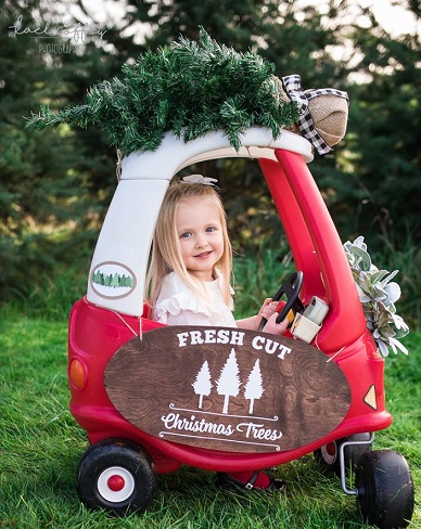 u-cut tree, seattle you cut christmas tree, you cut christmas tree, u-cut tree, you cut tree, holiday tree, christmas tree, Kael Coffey Photography