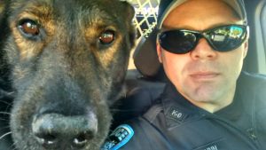 VRPDA, Valley Retired Police Dog Association, Police Canine, Police k9, k9 cop, apd, auburn, auburn wa, city of auburn, police dog, cop dog, police canine, canine unit, k-9 cop, GSD k9, german shepherd