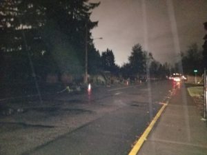 Pse, Puget sound energy, downed tree