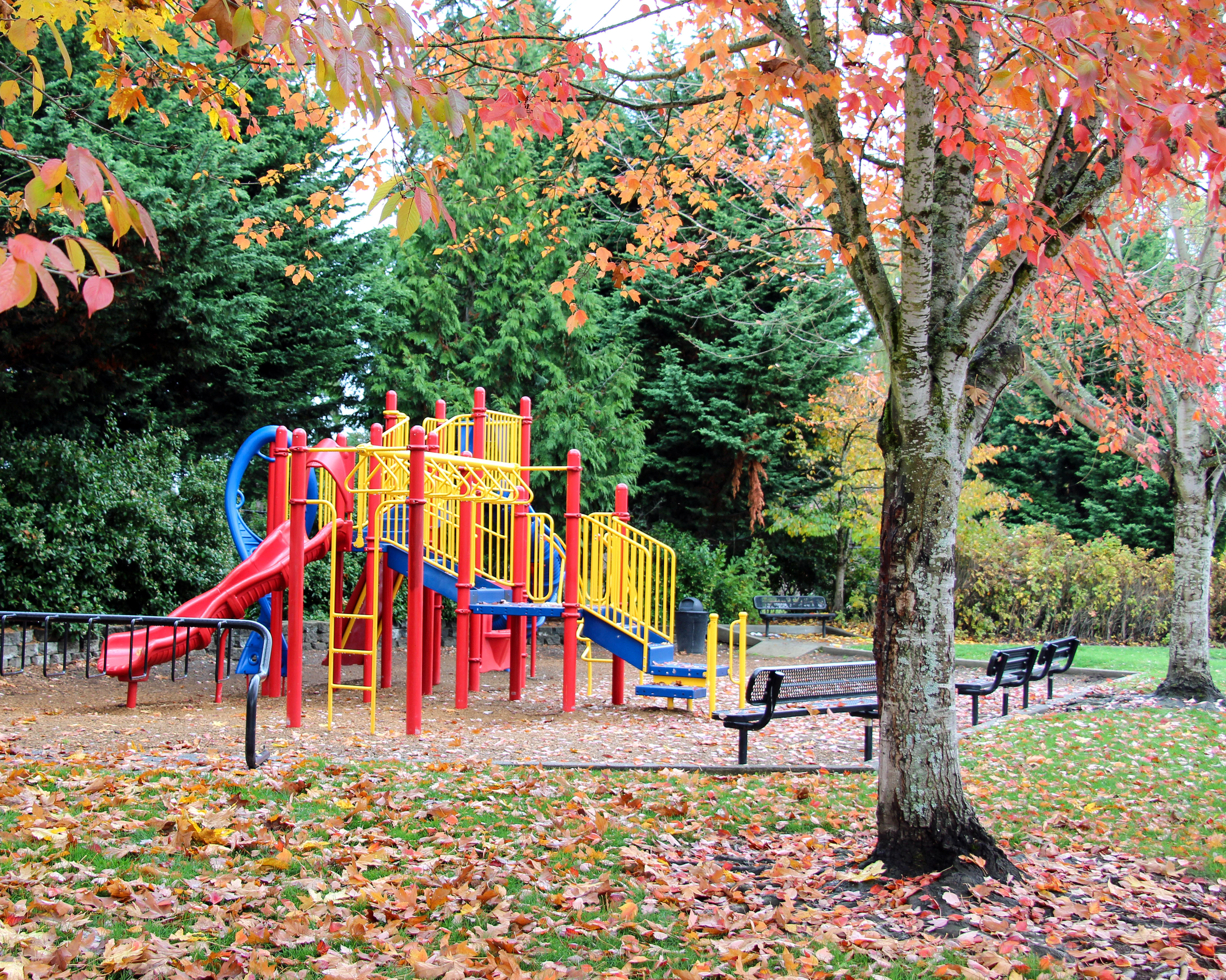 auburn wa, auburn wa in photographs, auburn in photos, auburn in photographs, city of auburn, auburn washington, pnw, wa, wa state, photos of auburn wa, auburn parks, game farm park, auburn in autumn, autumn park, autumn colors,