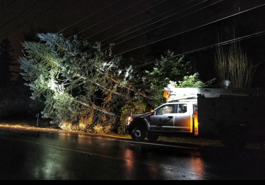 Pse, puget sound energy, power lines down, storm damage