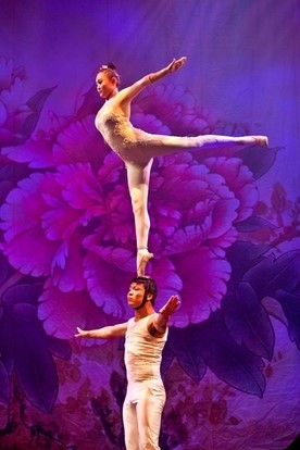 Golden Dragon Acrobats, BRAVO Performing Arts Series, Acrobat Show, Stunning acrobatics, Golden Dragon, balancing on head