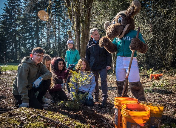 The Mariner Moose, planting trees, King County 1 million trees 2020