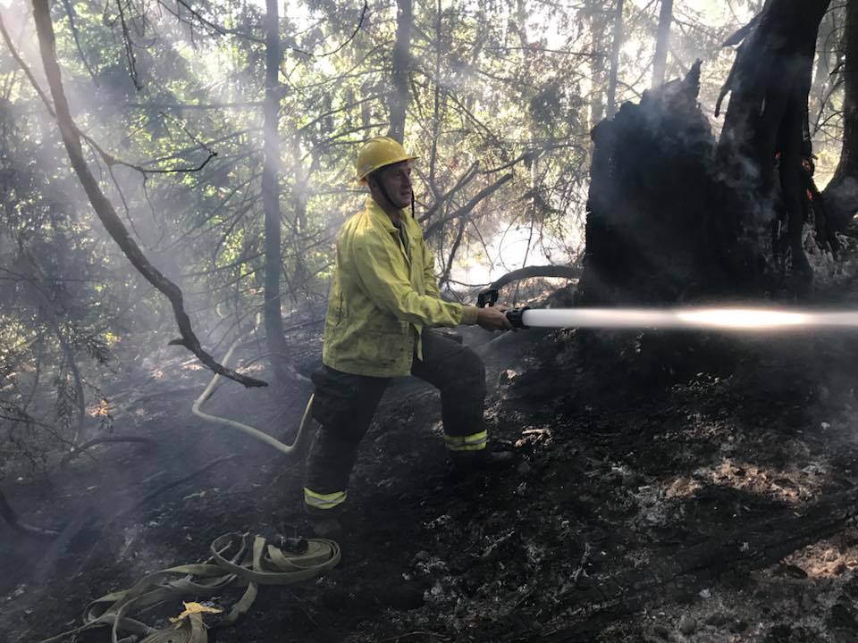 auburn wa, auburn brush fire, vrfa, valley regional fire authority, valley professional fighter, brush fire, wildfire, firefighter