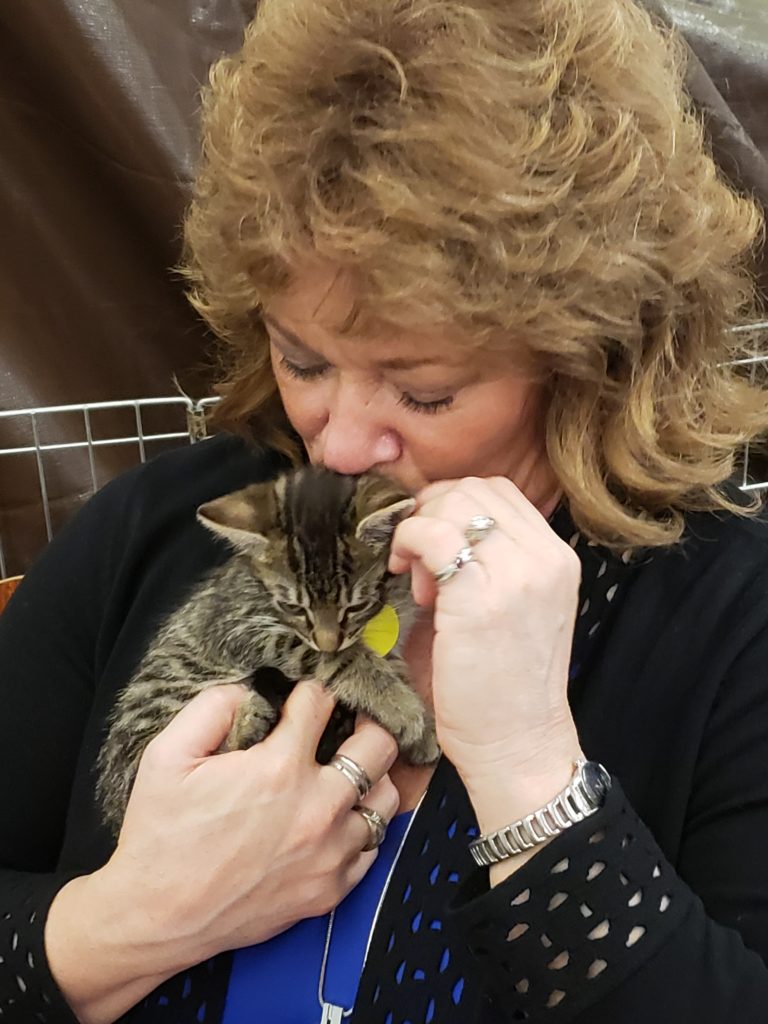 avhs, kitten, mayor backus, nancy backus, auburn wa, auburn valley humane society