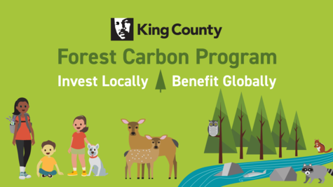 forest carbon program, king county