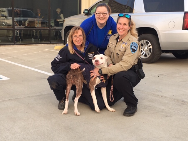 apd, animal control, sarah Cattaneo, butte county, animal control, Gridley Animal Shelter , Gridley fairgrounds, wildfire