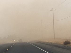 apd, animal control, sarah Cattaneo, butte county, animal control, Gridley Animal Shelter , Gridley fairgrounds, wildfire