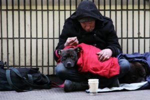 homeless, homeless with dog, begging