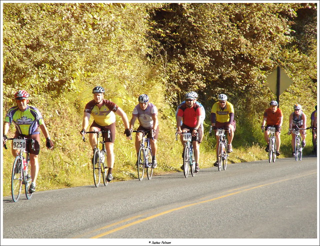 STP, STP riders, seattle to tacoma