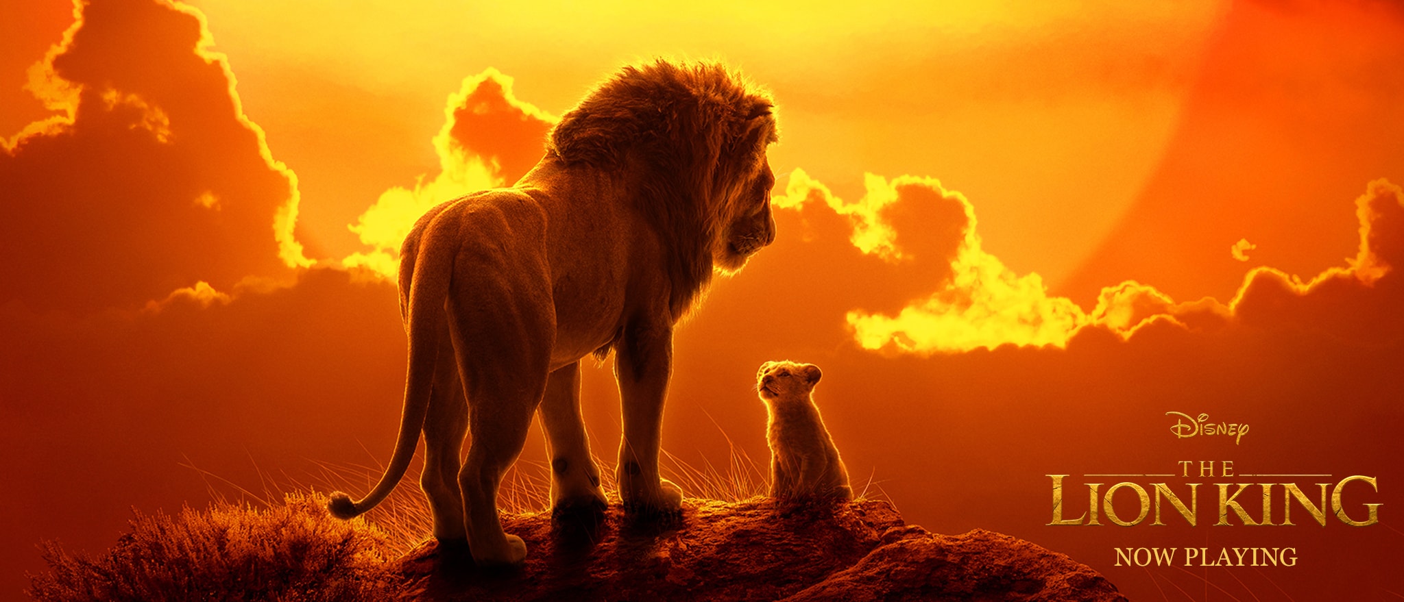 2019 lion king, lion king review, disney's lion king, lion king remake