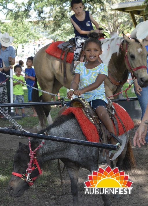 auburn wa, auburnfest vendors, auburnfest, 2019 auburnfest