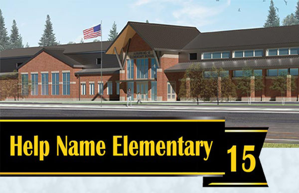 ASD, Elementary school #15