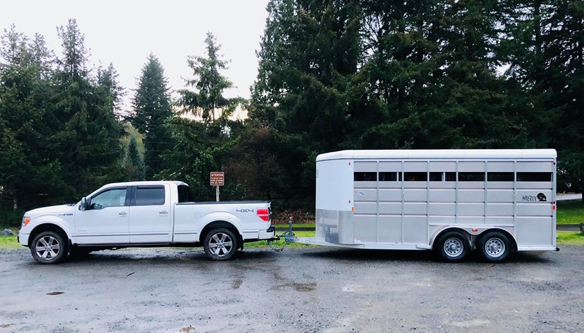 hit and run, auburn wa hit and run, Rachael Schmaus