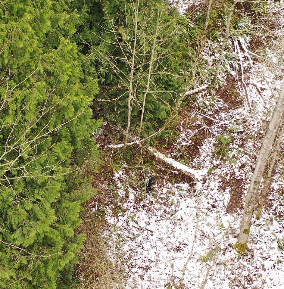 auburn police, school lockdown, suspect, drone photo, APD, auburn wa police