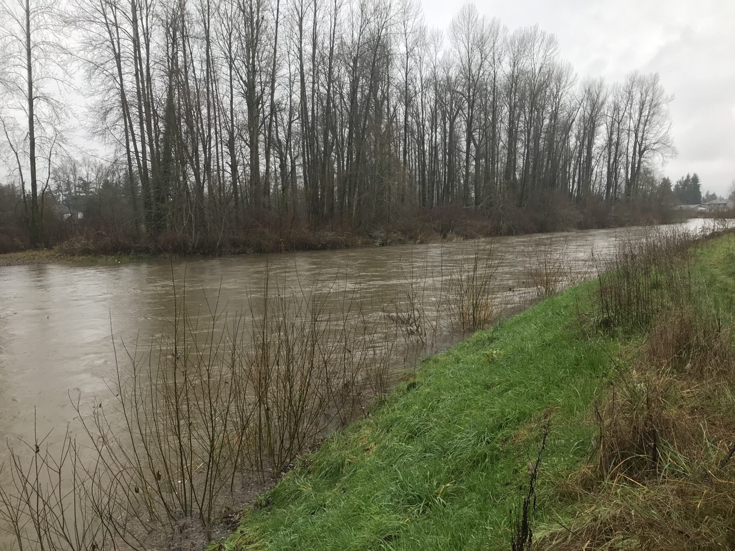 Green river, green river flood, green river high, green river auburn