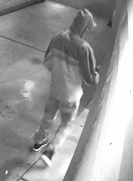 apd, auburn police, armed robbery suspect, 