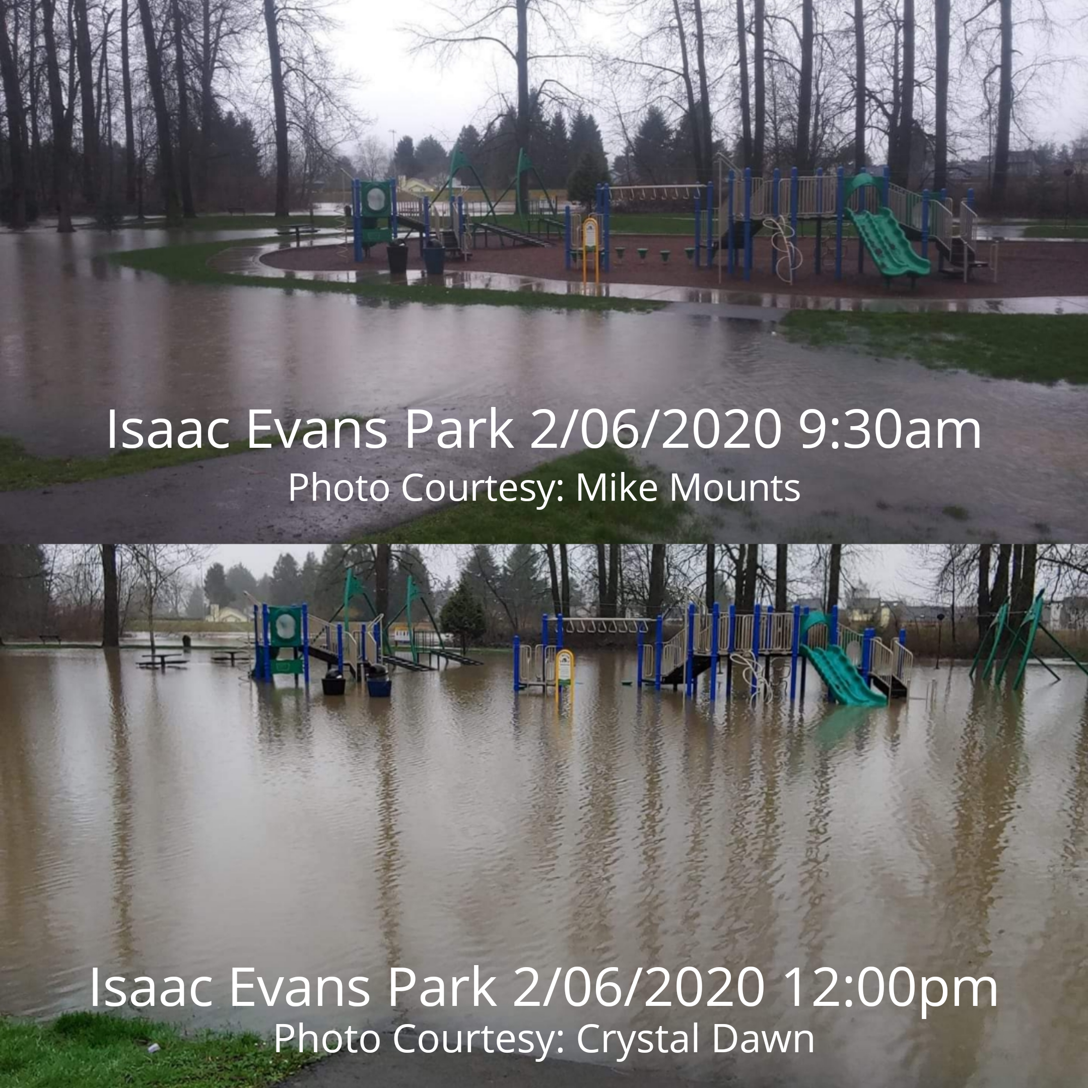 Isaac Evans park, auburn wa, auburn wa flooding, green river, green river flooding, green river Auburn wa, flooding king county