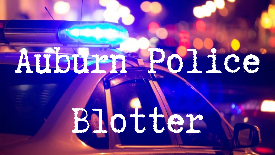 a graphic of a stock police car at night with its lights on. "Auburn Police Blotter" is written over the photo