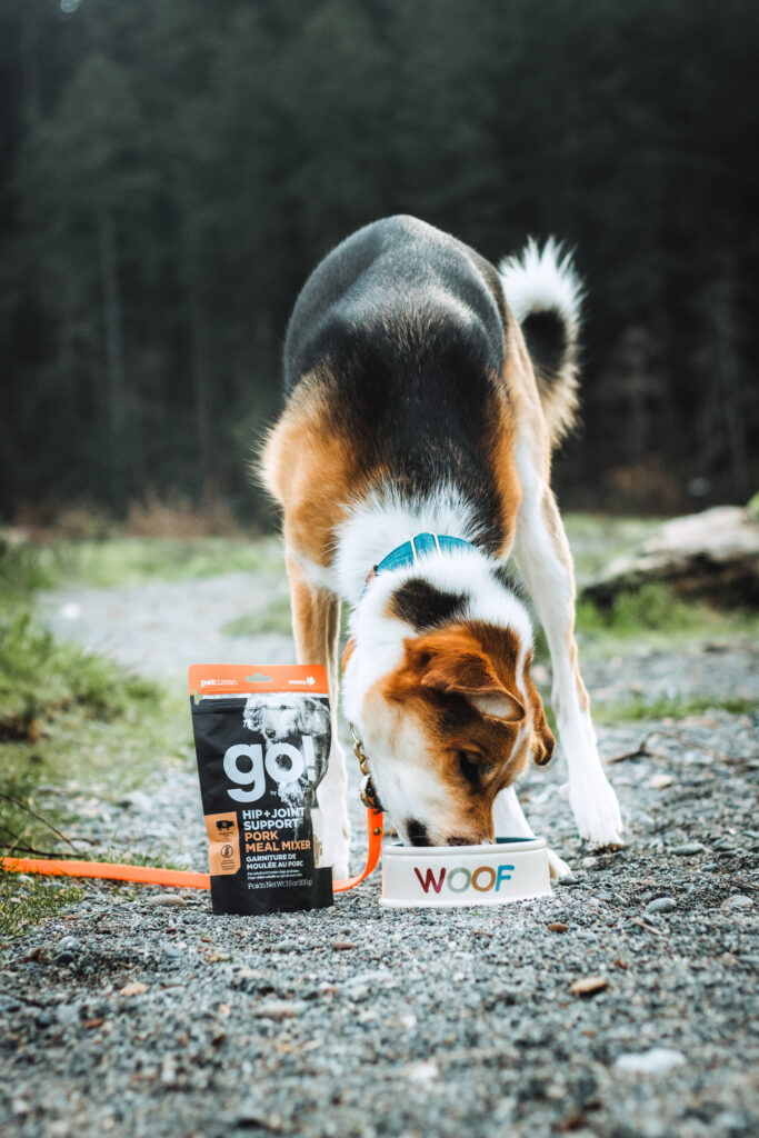 petcurean, go solutions, doggo, coastal farm & ranch, auburn pet food store, now fresh,