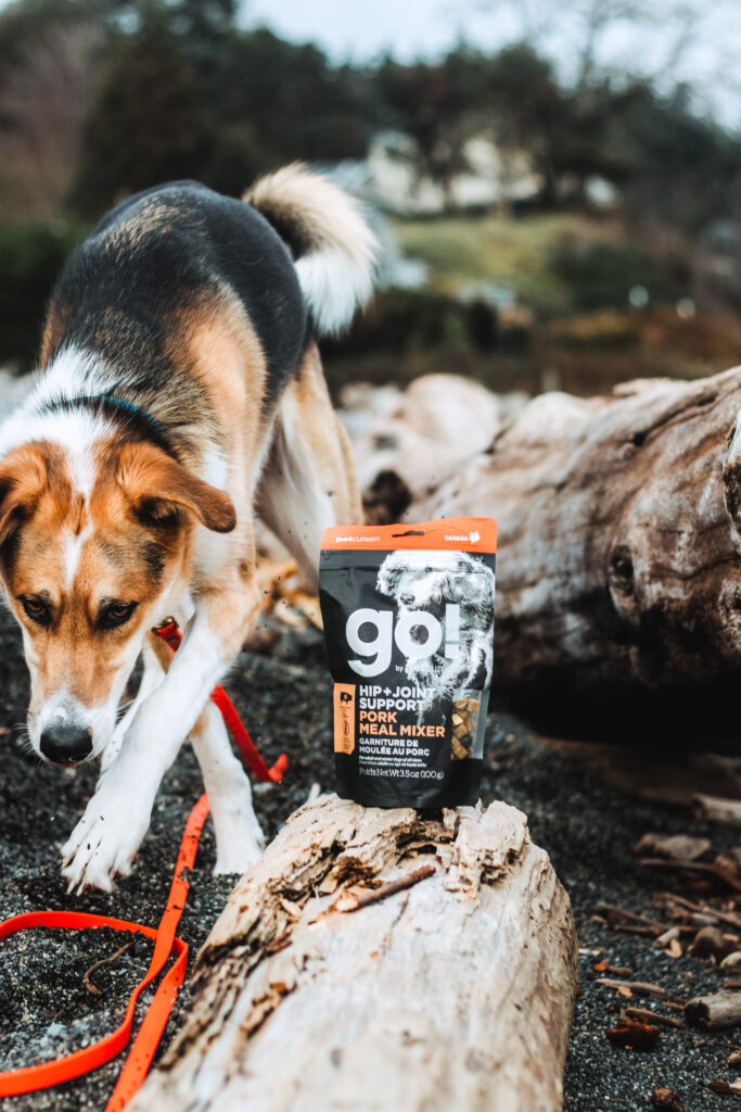 petcurean, go solutions, doggo, coastal farm & ranch, auburn pet food store, now fresh,