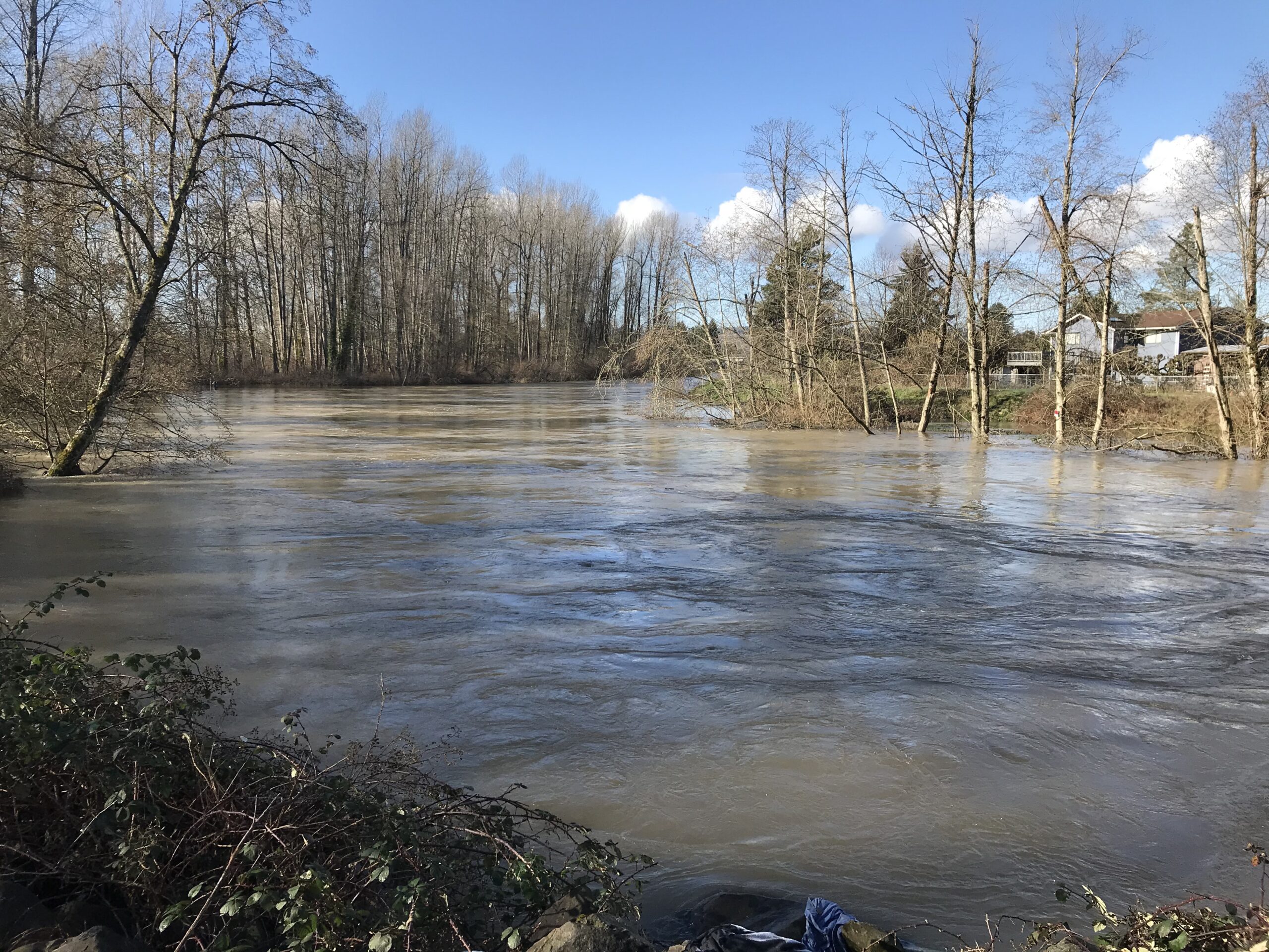Green river, green river auburn wa, green river flooding,
