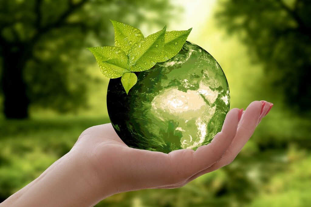 planet earth, sustainability, recycling, recycling requirements