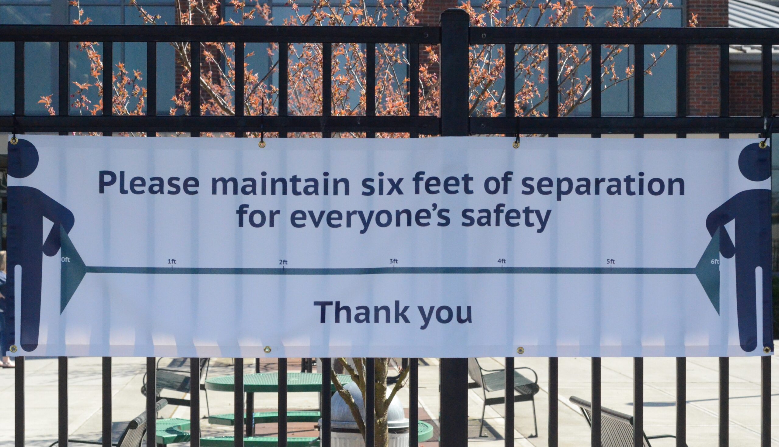Covid-19, stay home stay healthy, covid-19 Washington, king county COVID-19, coronavirus, Washington coronavirus, city of auburn, auburn wa, pnw, auburn covid-19, auburn coronavirus, pnw coronavirus, pnw covid-19, backus, asd, auburn school district, ahs, auburn high school, no kid hungry, social distancing