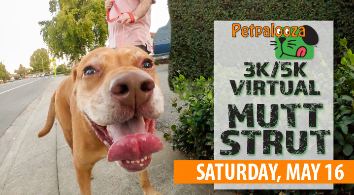 petpalooza, mutt strut, virtual 5k, city of auburn, auburn wa, mutt strut 5k, virtual mutt strut, auburn mutt strut