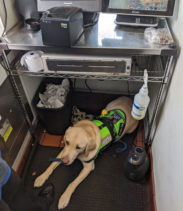 ann beurskens, ann beurskens mcdonalds, ann beurskens mcdonalds auburn way s, ann beurskens auburn wa mcdonalds, ann beurskens city of auburn, ann beurskens andy the service dog, andy the service god, joell nylund, andy service dog, joell nylund auburn wa, auburn way s mcdonalds service dog, service dog mcdonalds, ada service dog auburn wa, service dog employee mcdonalds, is there a service dog working at mcdonalds, joell auburn, city of auburn mcdonalds service dog, service dog andy, andy service dog joell nylund,