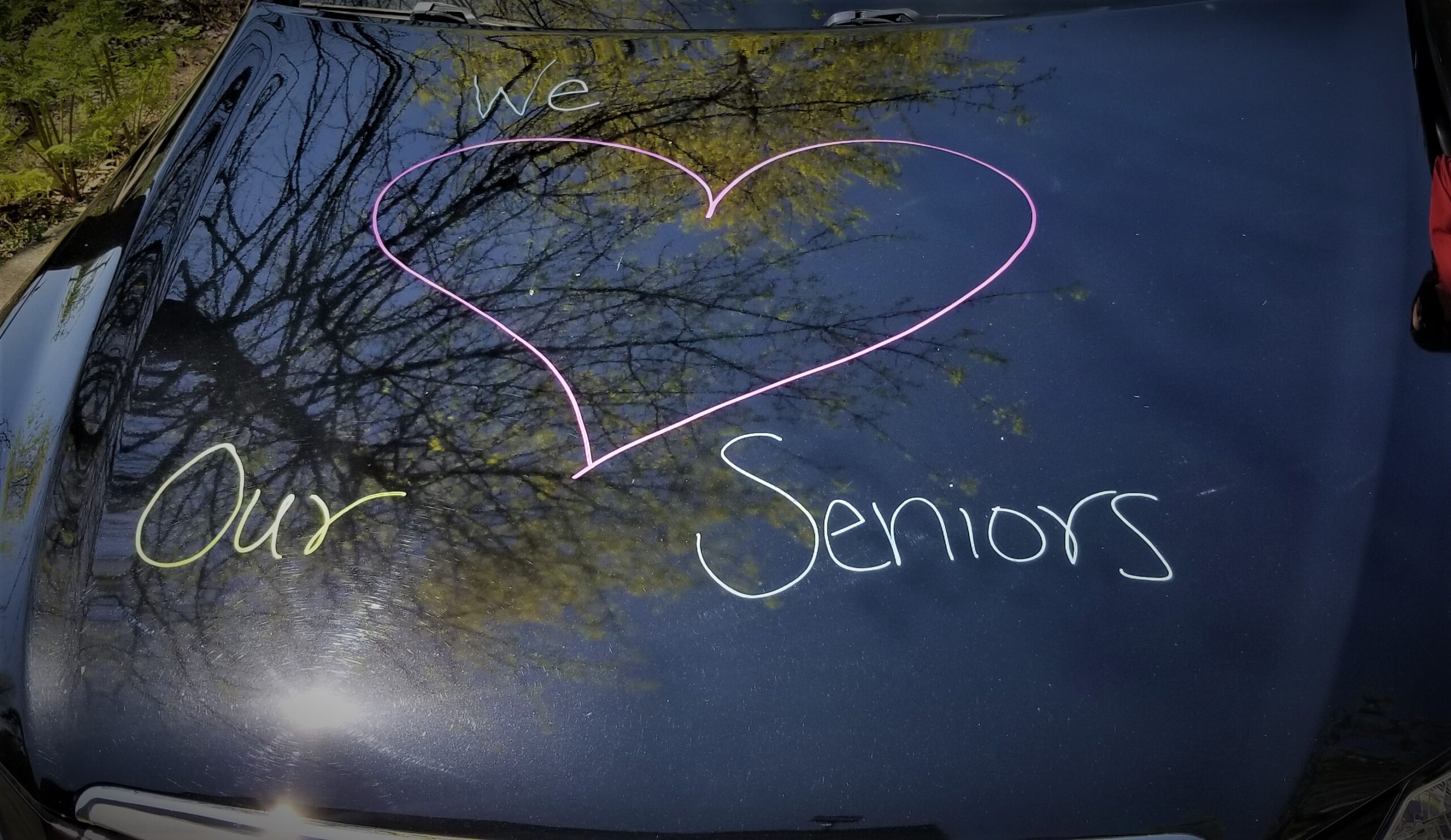 senior center parade, drive by parade, cr parade, auburn seniors, auburn wa senior parade,