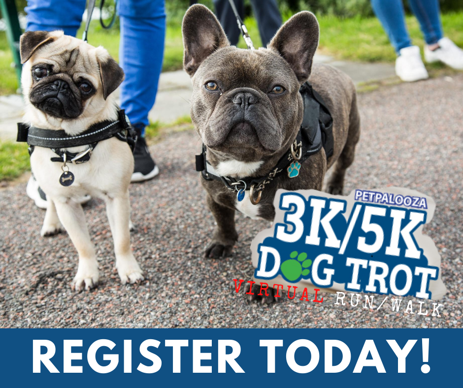 Dog trot, auburn Petpalooza, dog trot fun run, virrual 5k, auburn 5k, city of auburn parks and rec, dog trot fun run auburn, 2020 dog trot