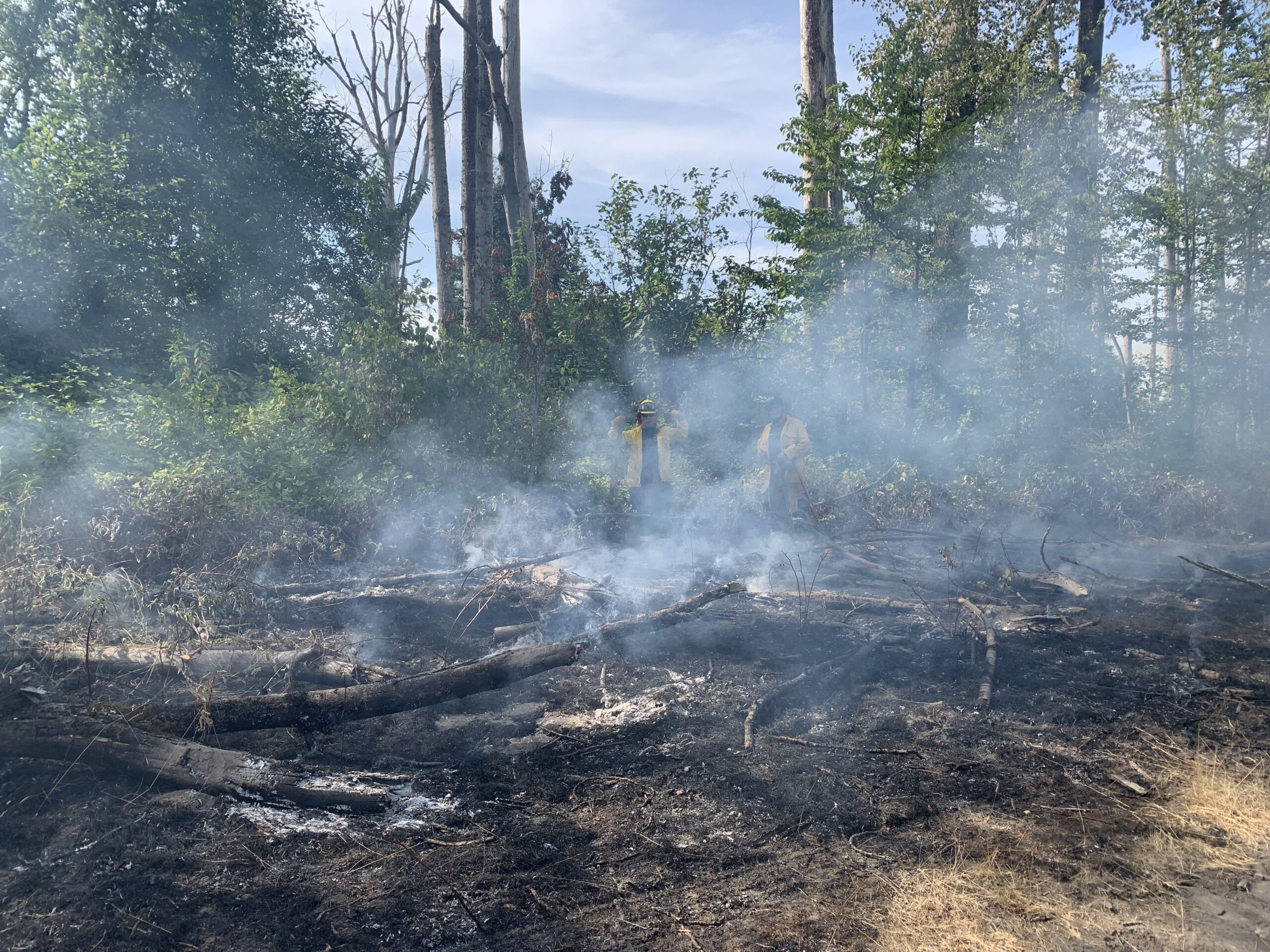 smoke rises from a charred ground, fire recently put out