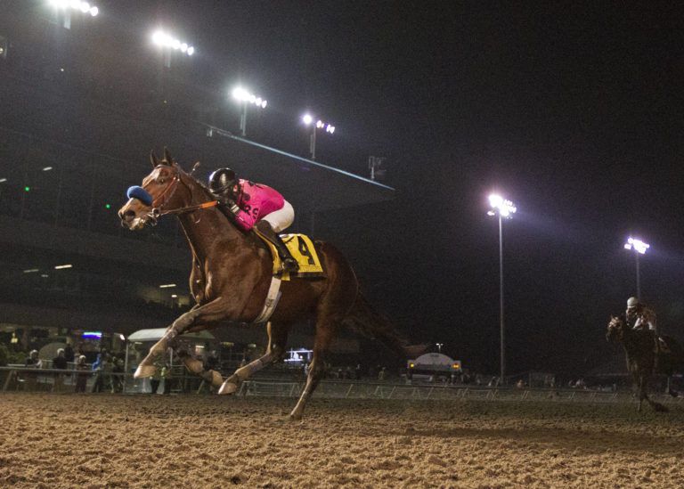 emerald downs, long acres miles, anothertwistafate, auburn wa horse racing, seattle horse racing