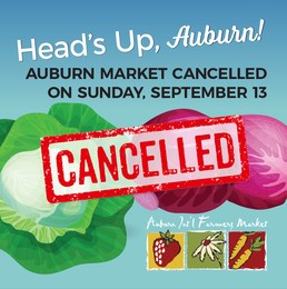 auburn farmers market, auburn wa farmers market, flower vendor farmers market