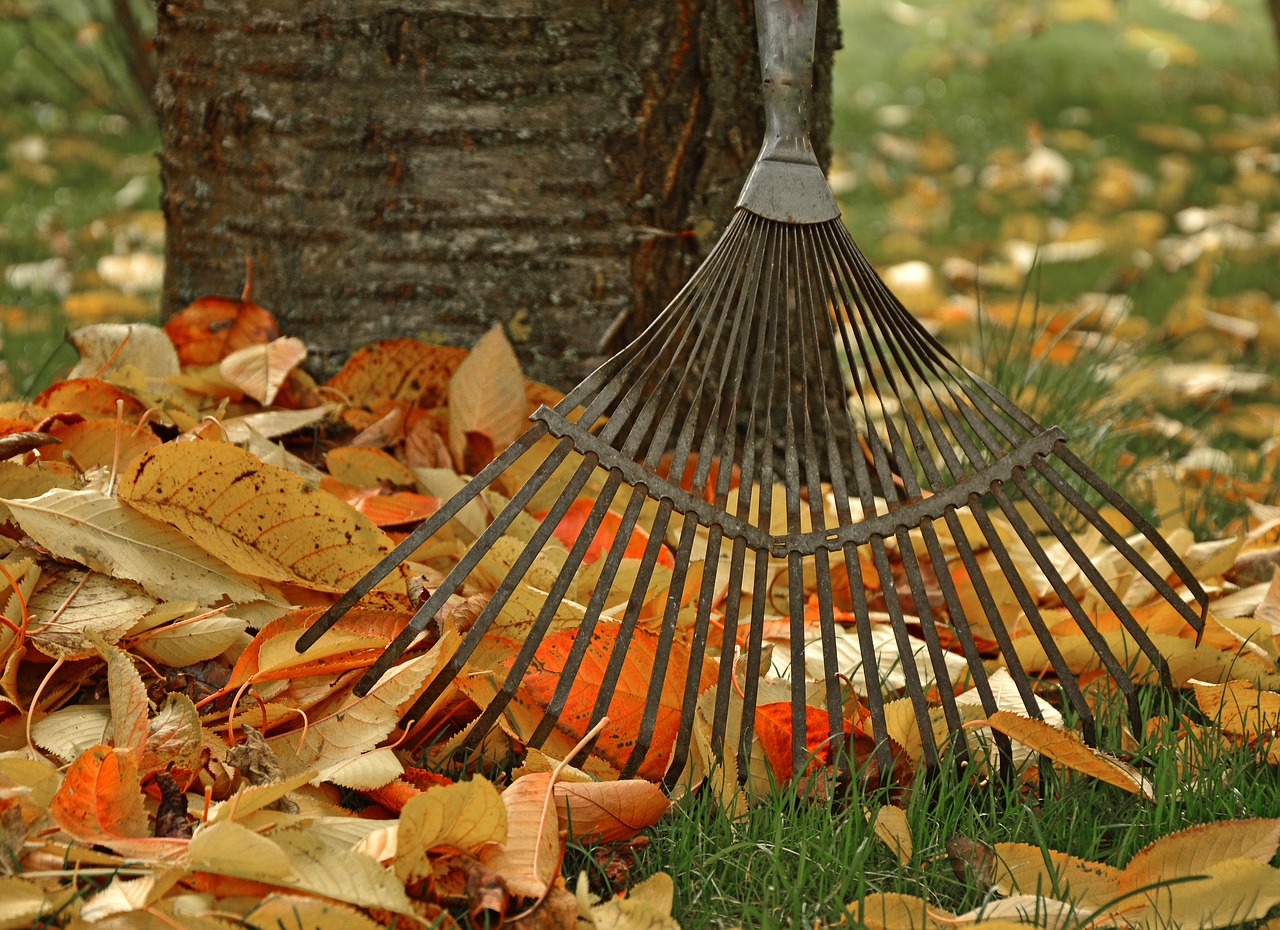 fall, autumn, rake, leaves, yard work, yardwork, fire prevention yard work