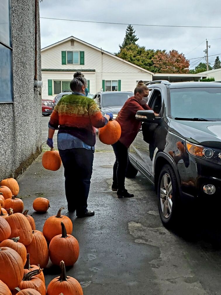 downtown auburn cooperative, pumpkin give away, pumpkin contest auburn, auburn wa downtown, downtown events auburn wa, events in auburn wa, halloween auburn wa