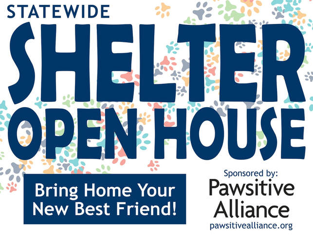 pawsative alliance, shelter open house, 2020 shelter open house, avhs, auburn valley humane society