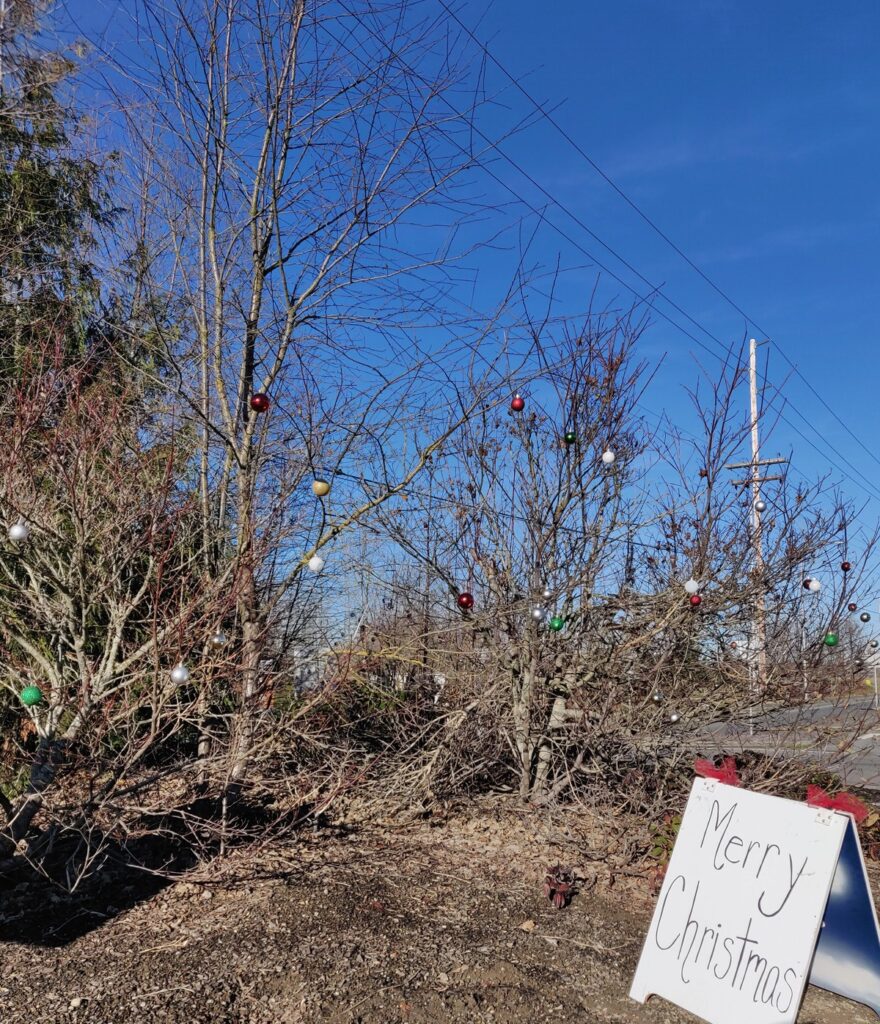 lea hill, friday feels, auburn wa, christmas angels, good neighbor, 124th roundabout, spreading cheer, holiday cheer, good deed, happy holidays, merry christmas