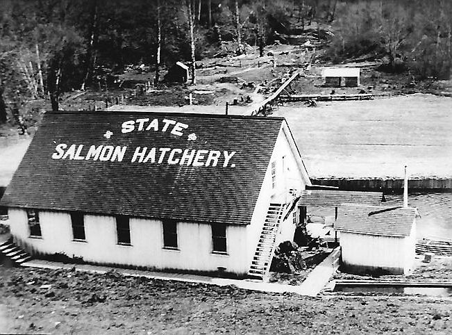 soos creek fish hatchery, soos creek hatchery, soos creek fish hatchery sign, soos fish hatchery, soos creek, auburn wa fish hatchery, soos creek salmon hatchery, soos creek fish hatchery history