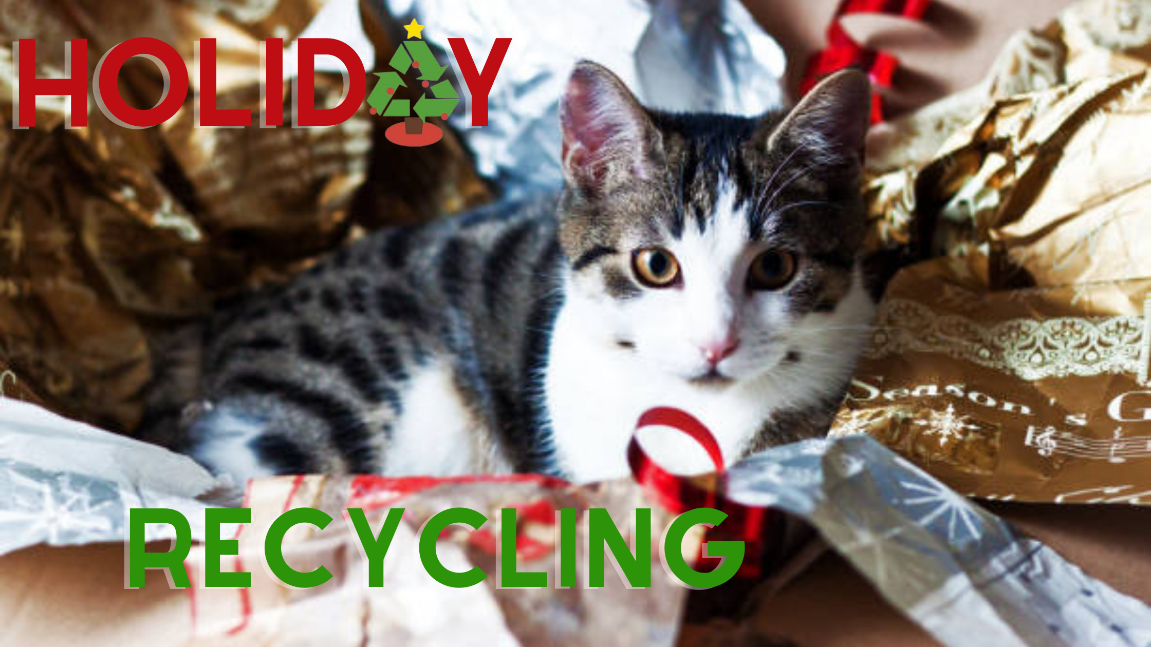 holiday recycling, what can I recycle christmas, christmas recycling, wrapping paper recycling, battery recycling, auburn wa recycling, christmas tree recycling auburn wa,