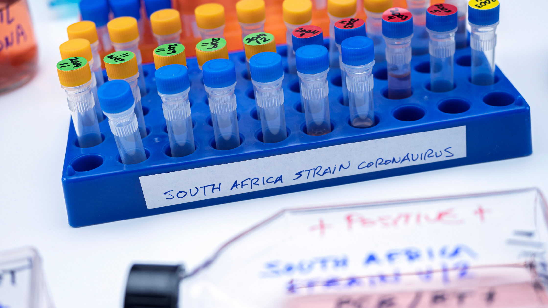 test tubes sit in a blue tray labeled "South Africa Strain Coronavirus" A larger bottle lays in front of the tray of samples with blurred writing on it.