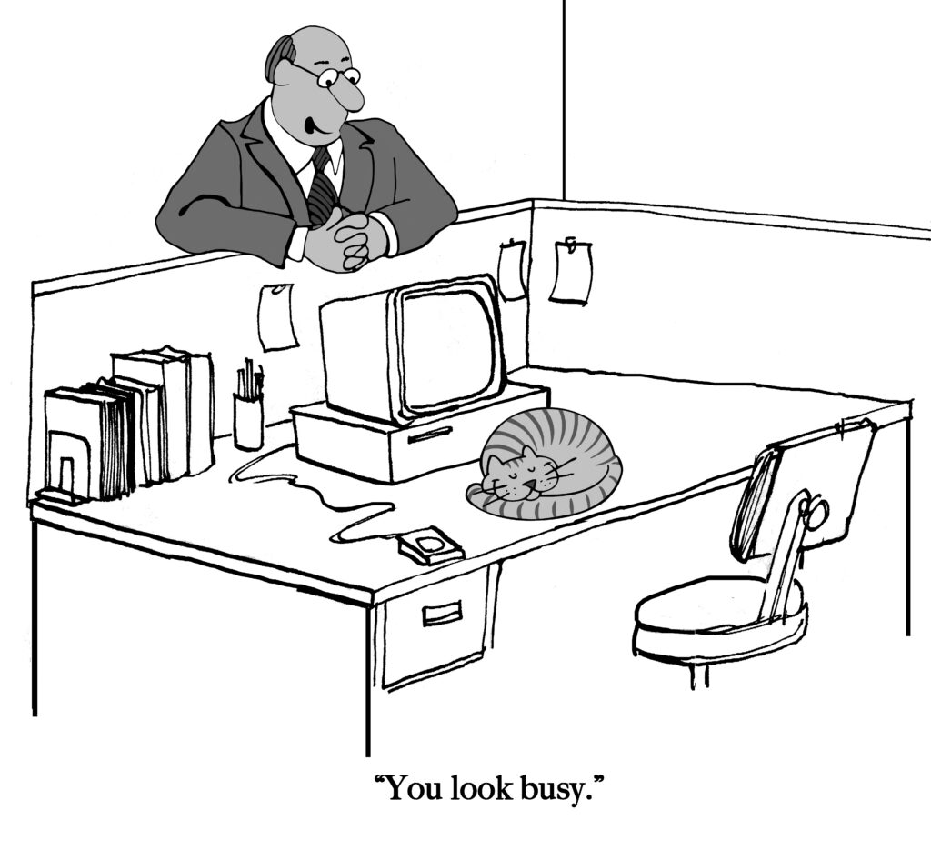 A cat is napping instead of working.