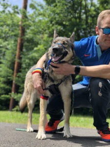 Joey, an white adult male, and Max, a German Shepherd mix dog, together. Joey is crouch down next to Max on an asphalt path outside on a sunny day.