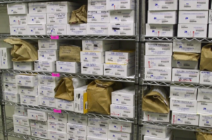 White boxes and brown bags fill metal shelves. The boxes and bags contain sexual assault kits and evidence waiting to be tested.