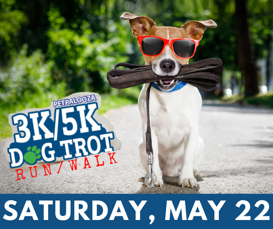 Auburn's dog trot announcement graphic