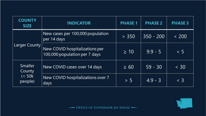 A chart of WA Covid-19 metrics